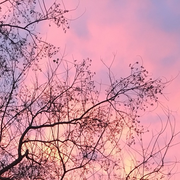 Meet your Posher, Nita - Picture 1 of 1